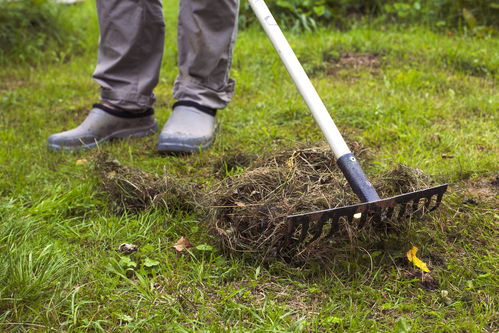 Garden Cleanup